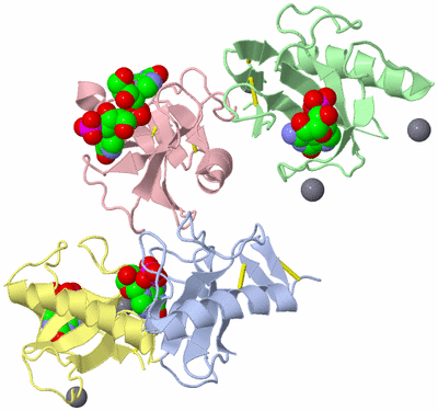 Image Asymmetric Unit