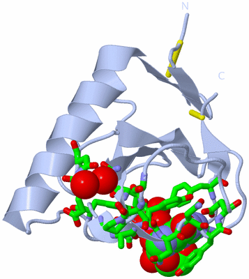 Image Biol. Unit 1 - sites