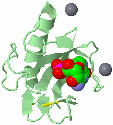 Image Biological Unit 2