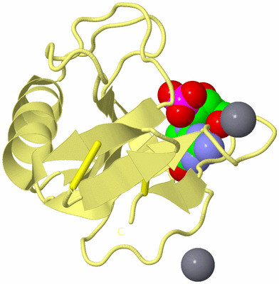 Image Biological Unit 4