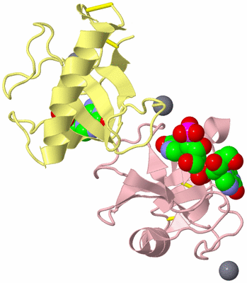 Image Biological Unit 5
