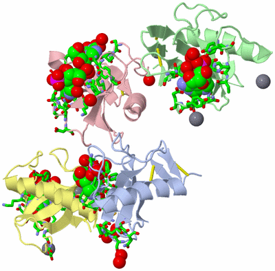Image Asym. Unit - sites