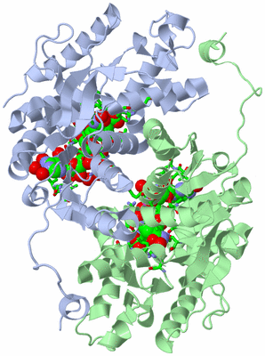 Image Asym. Unit - sites