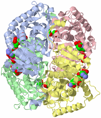 Image Biological Unit 1