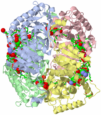 Image Biol. Unit 1 - sites