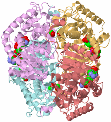 Image Biological Unit 2