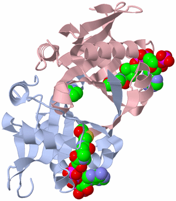 Image Biological Unit 1