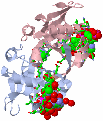 Image Biol. Unit 1 - sites