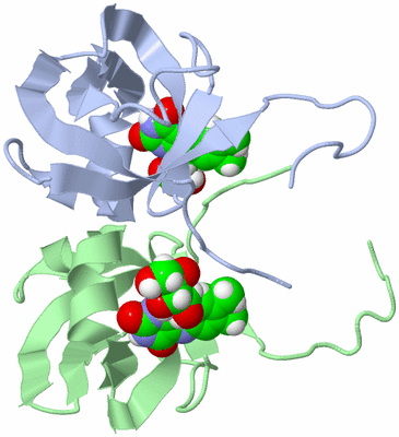 Image NMR Structure - model 1