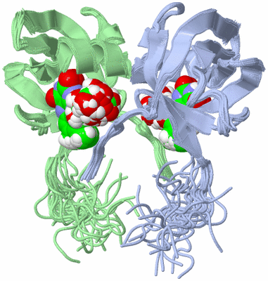 Image NMR Structure - all models