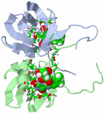 Image NMR Structure - model 1, sites