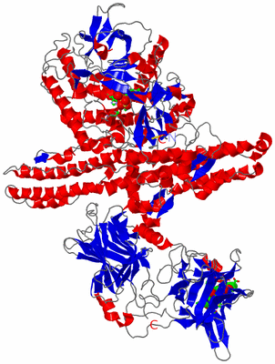 Image Asym./Biol. Unit - sites