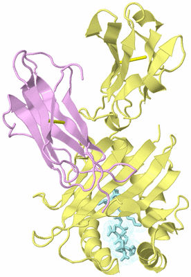 Image Biological Unit 2