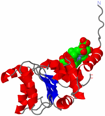 Image Asymmetric Unit