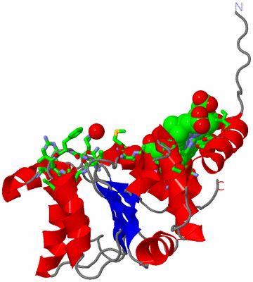 Image Asym. Unit - sites