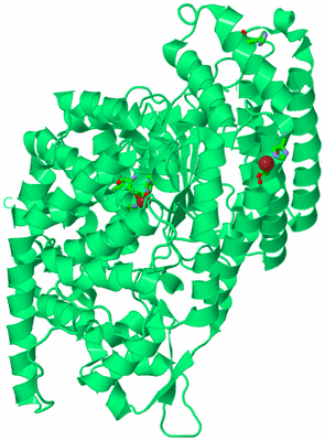 Image Biol. Unit 1 - sites