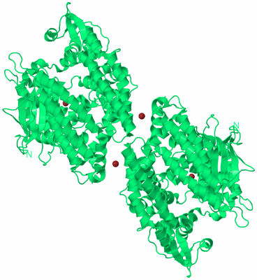 Image Biological Unit 2