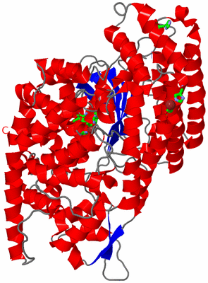 Image Asym. Unit - sites