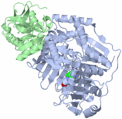 Image Biological Unit 2