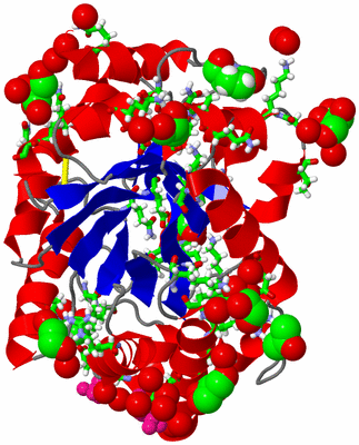 Image Asym./Biol. Unit - sites