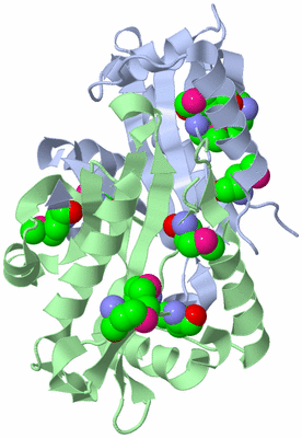 Image Biological Unit 1