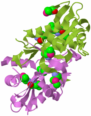 Image Biological Unit 2