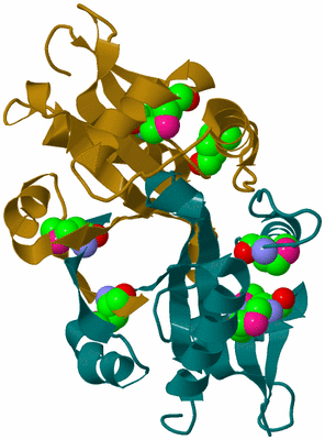 Image Biological Unit 3