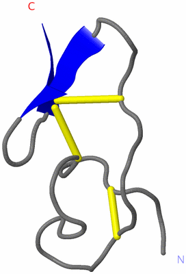 Image NMR Structure - model 1