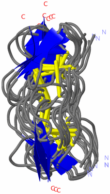 Image NMR Structure - all models