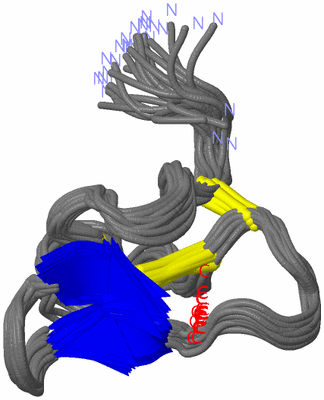 Image NMR Structure - all models