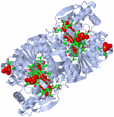 Image Biol. Unit 1 - sites