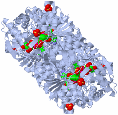 Image Biological Unit 2