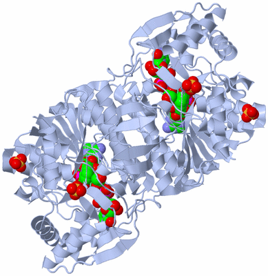 Image Biological Unit 1