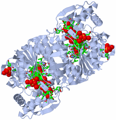 Image Biol. Unit 1 - sites