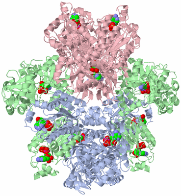 Image Biological Unit 1