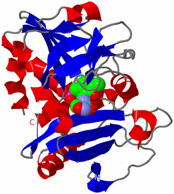 Image Asymmetric Unit