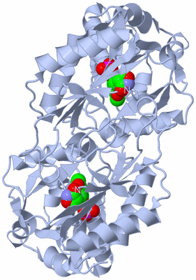 Image Biological Unit 1