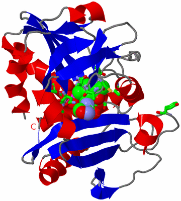 Image Asym. Unit - sites