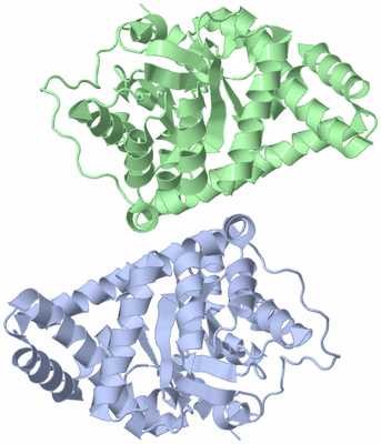 Image Asym./Biol. Unit