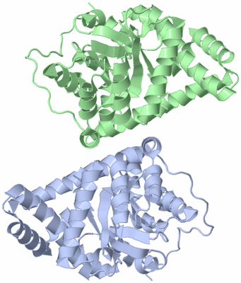 Image Asym./Biol. Unit