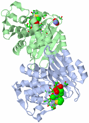 Image Asym./Biol. Unit - sites