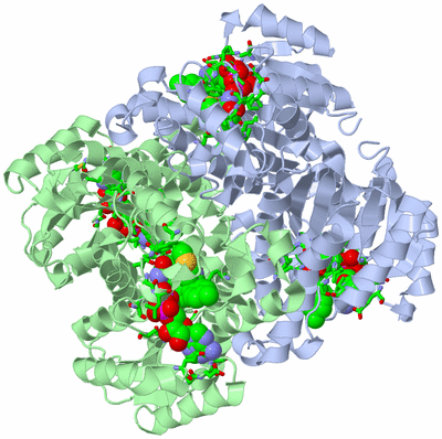 Image Biol. Unit 1 - sites