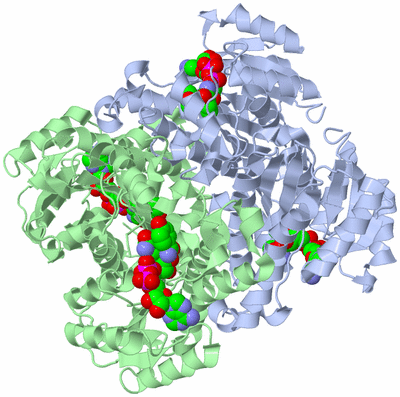 Image Biological Unit 1