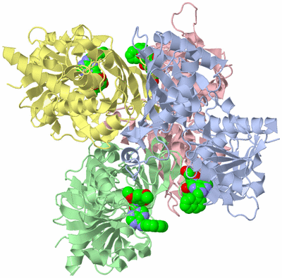 Image Biological Unit 1