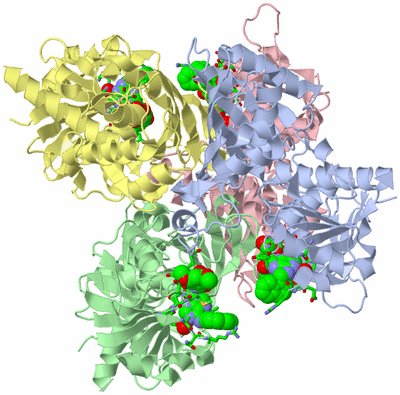 Image Biol. Unit 1 - sites