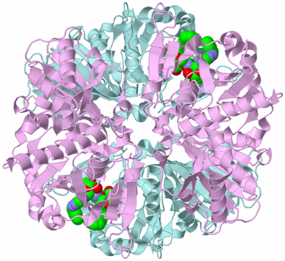 Image Biological Unit 2