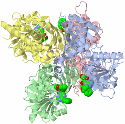 Image Biological Unit 1