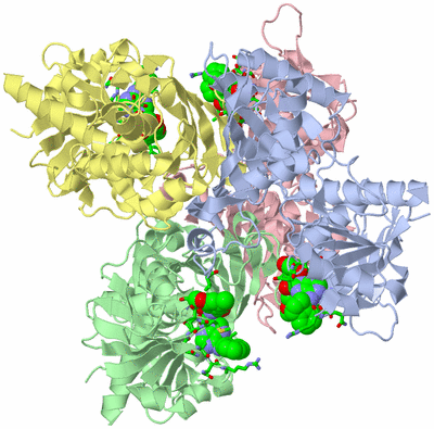 Image Biol. Unit 1 - sites