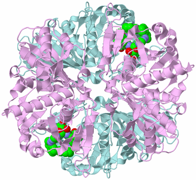 Image Biological Unit 2