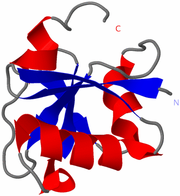 Image NMR Structure - model 1